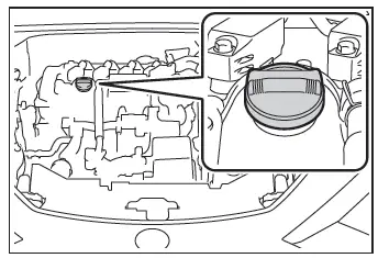 Toyota C-HR. Engine compartment