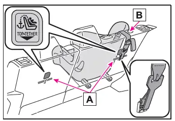Toyota C-HR. Child restraint systems