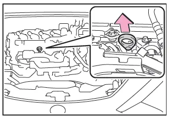 Toyota C-HR. Engine compartment