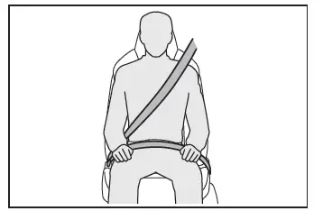 Toyota C-HR. Seat belts