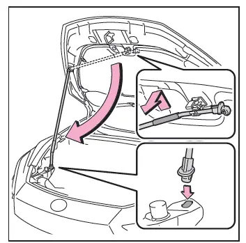 Toyota C-HR. Hood